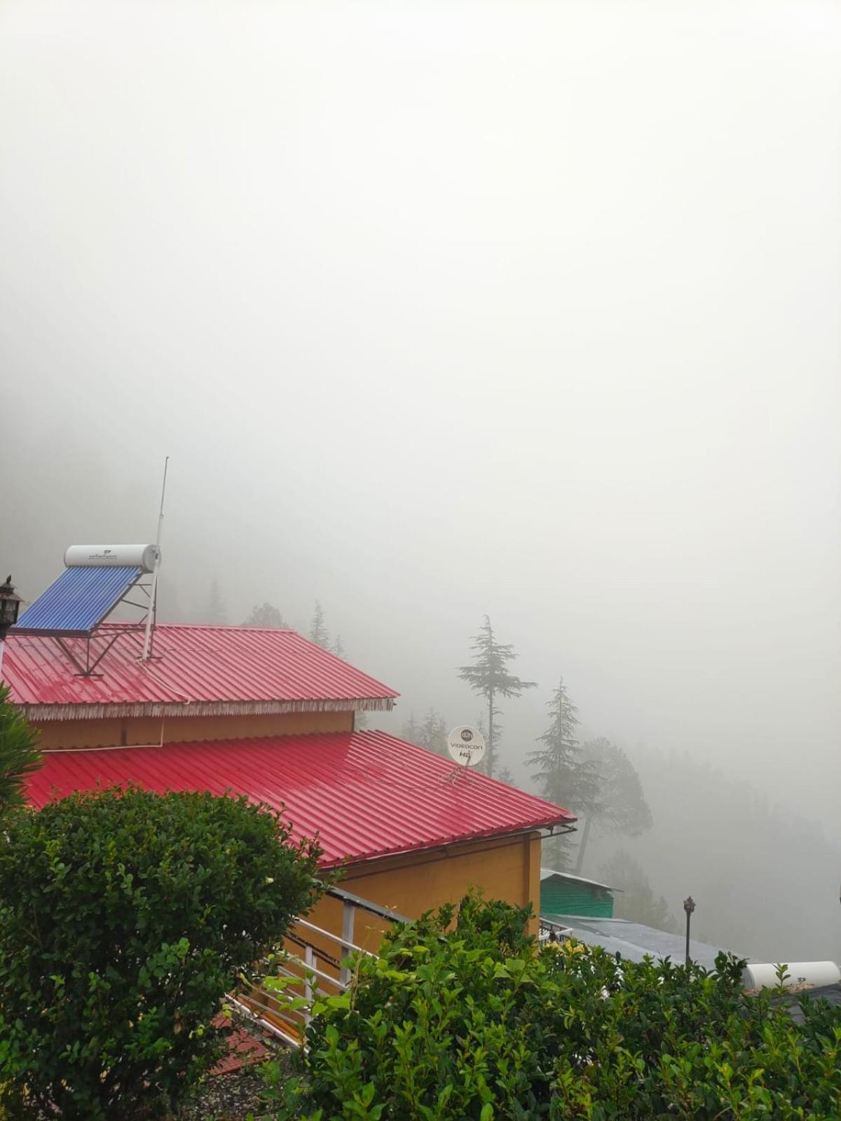 Little Heart Resort Chail Eksteriør billede