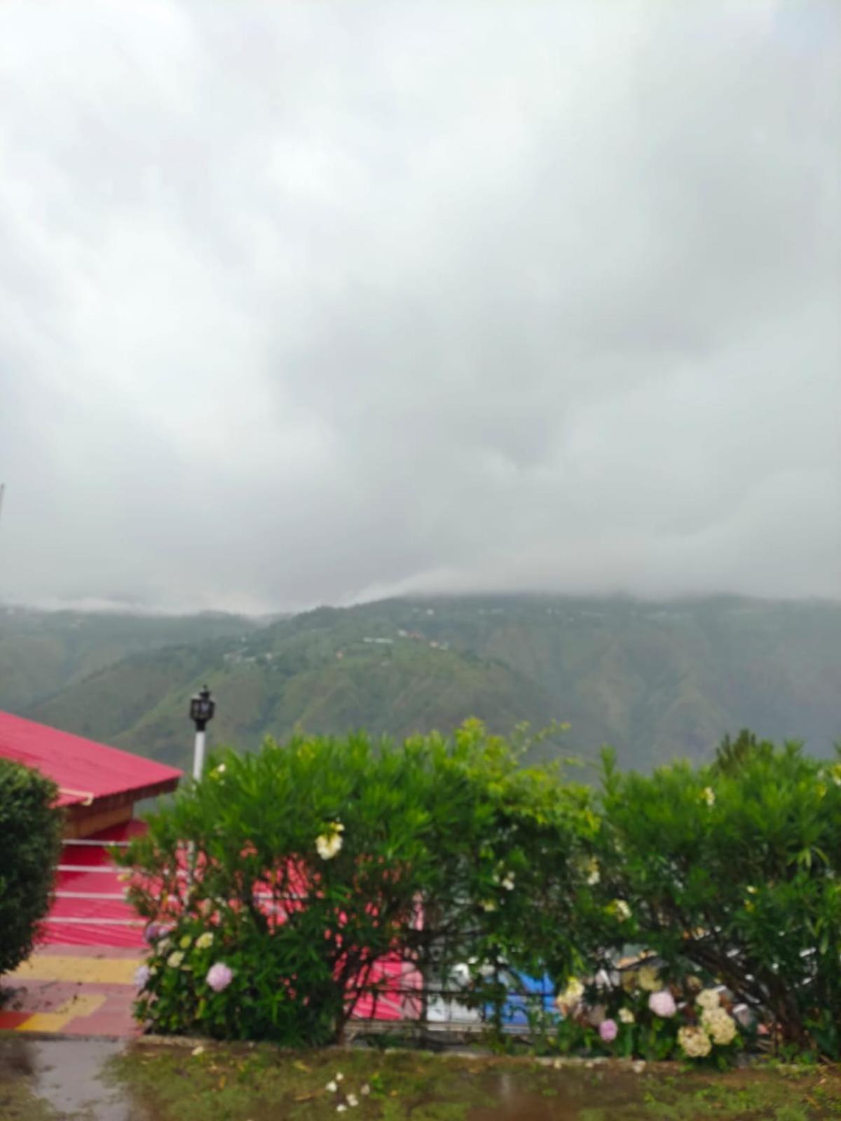 Little Heart Resort Chail Eksteriør billede