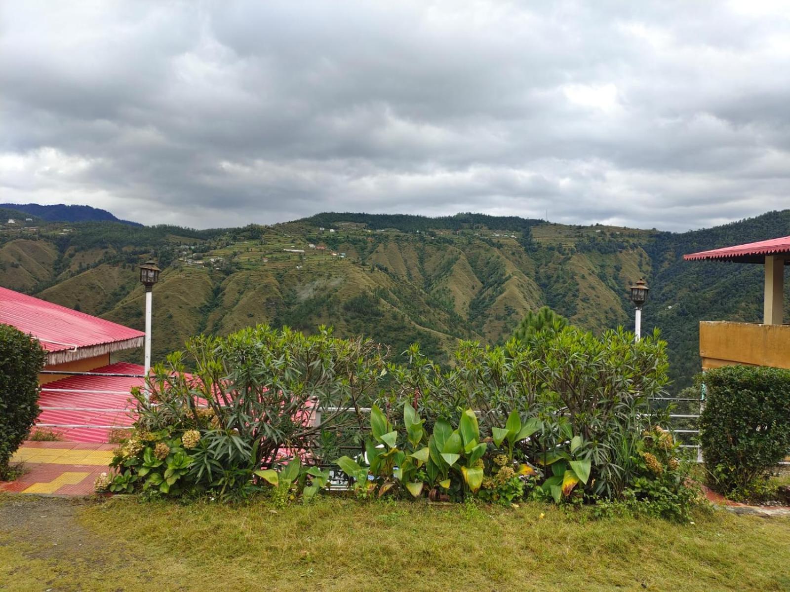 Little Heart Resort Chail Eksteriør billede