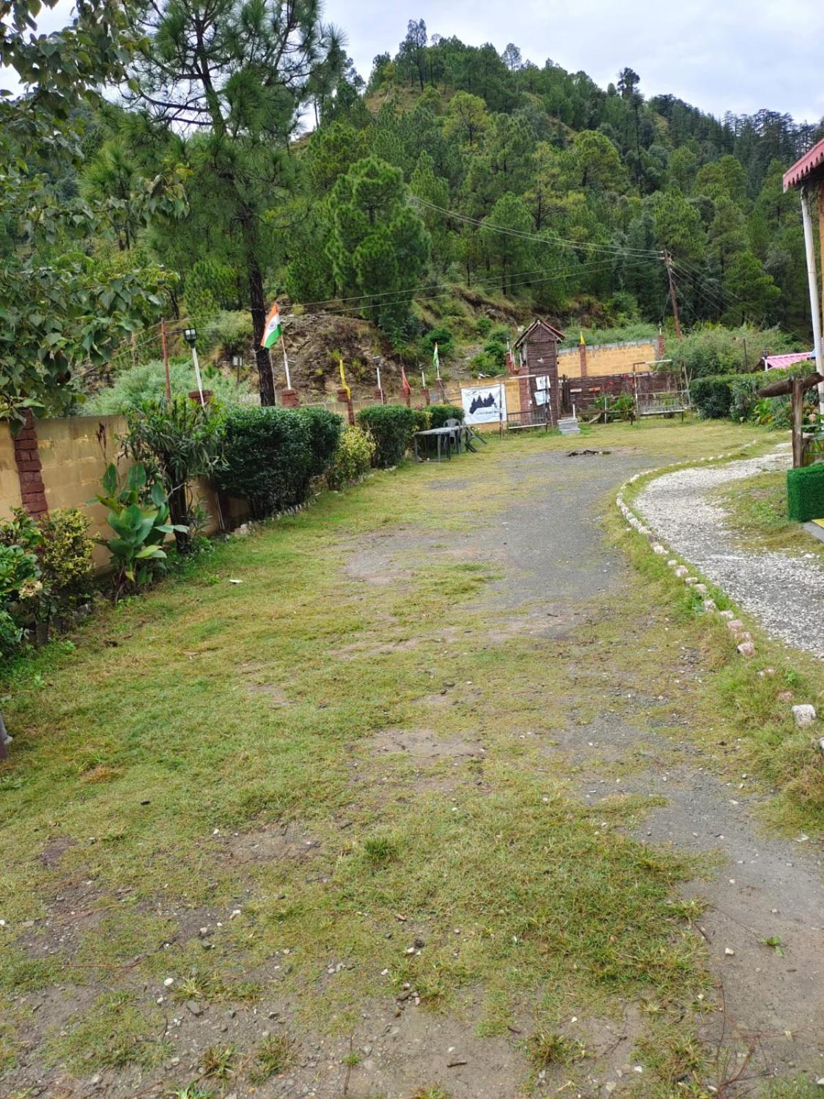 Little Heart Resort Chail Eksteriør billede