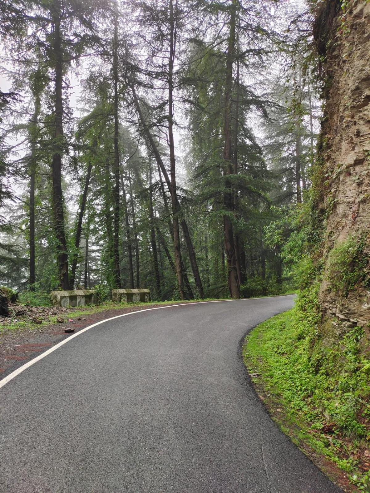Little Heart Resort Chail Eksteriør billede